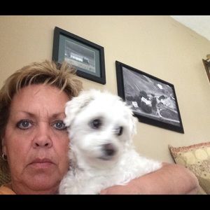 Meet your Posher, Janice